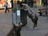 Adelaide pigs @ center