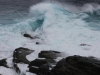 Kangaroo Island Rough Sea