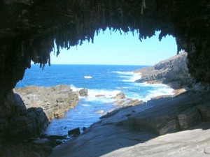 Kangaroo Island - Sealink Tour - Viaggio in Australia