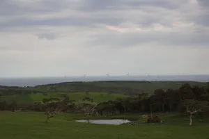 Scogliere calcaree sull'Oceano Meridionale in Australia