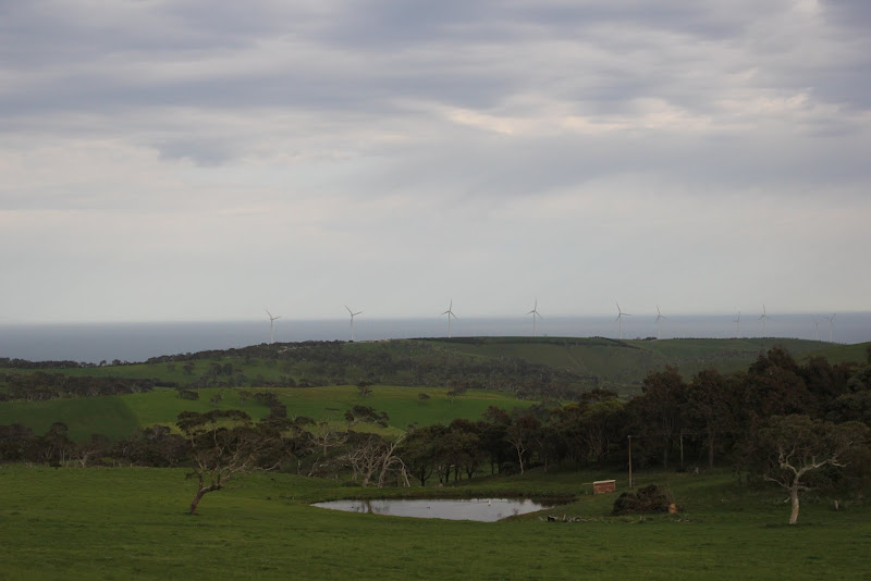 Viaggio in Australia - Kangaroo Island