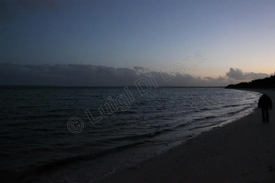Scogliere e natura selvaggia a Kangaroo Island in primavera australe